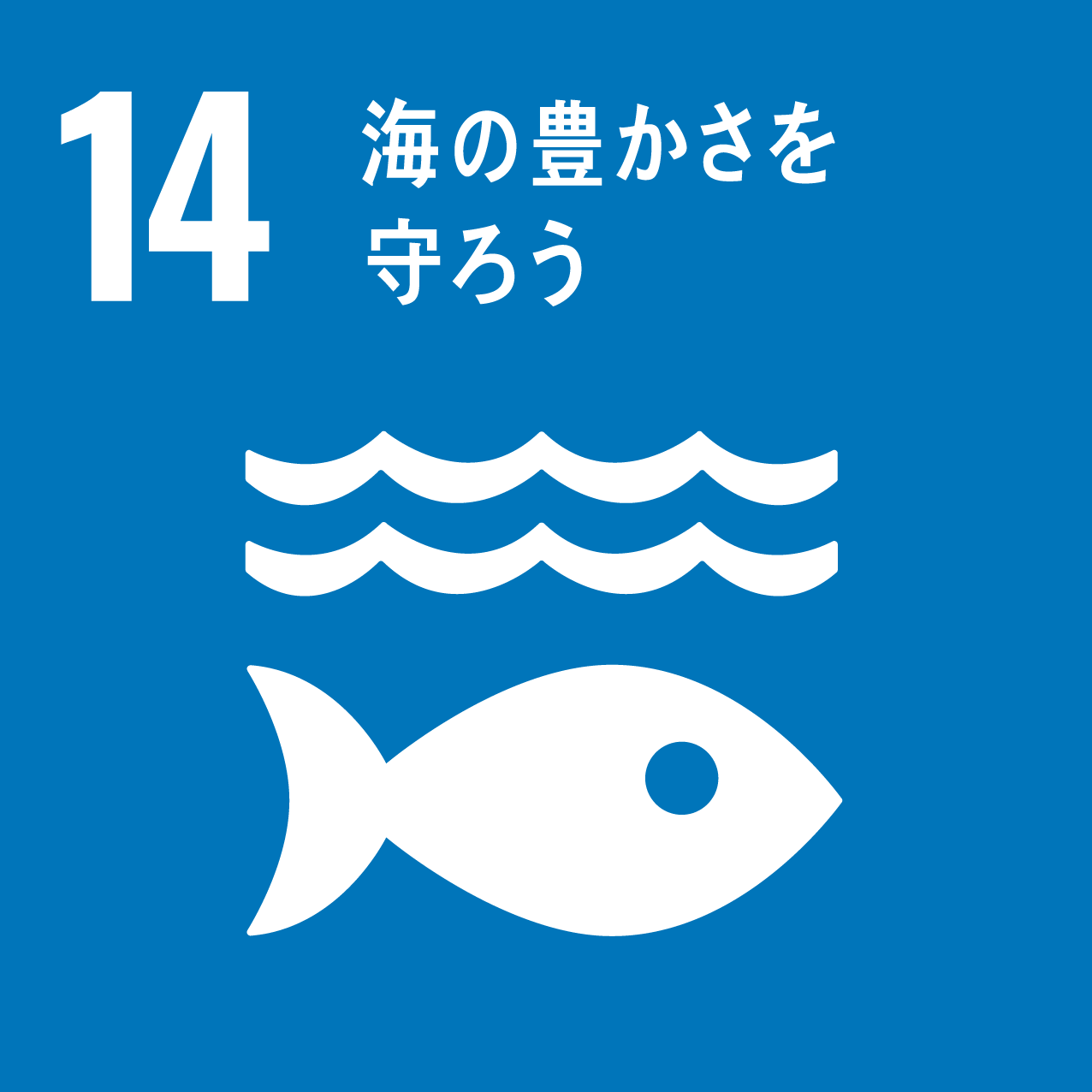 次世代へつなぐ、地域スポーツ支援と海洋環境保全